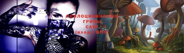 гидра Абинск