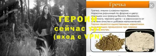 гашик Алексин