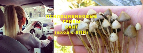 герыч Алзамай