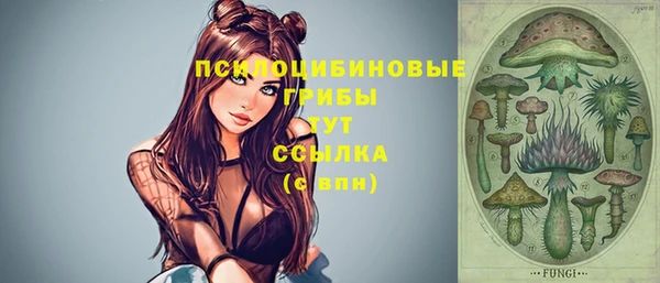 герыч Алзамай