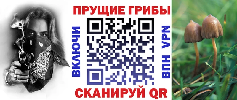 цены наркотик  дарк нет как зайти  Галлюциногенные грибы GOLDEN TEACHER  Туран  ОМГ ОМГ ссылки 